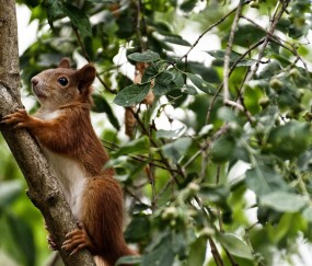 开云体育中国-当紫禁城遇见雷霆，恩比德统治级表现诠释何为唯一